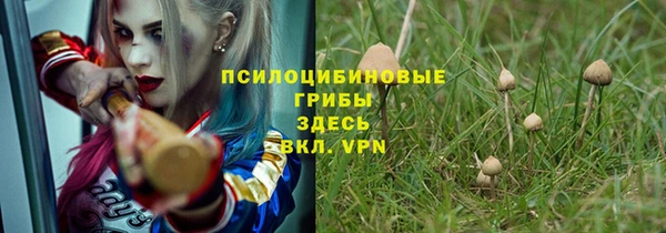 винт Алзамай