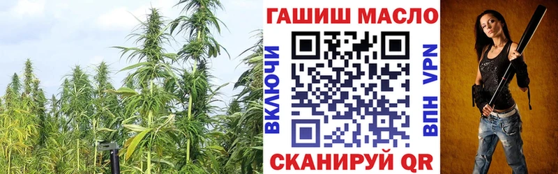 ТГК THC oil  цена наркотик  Павловская 